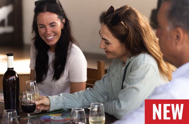 Girls Wine Tasting Lanzarote