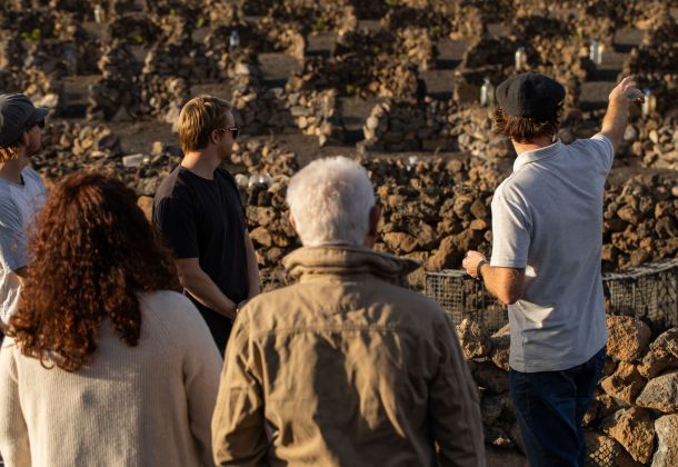 Dan the guide explaining how the grapes are grown