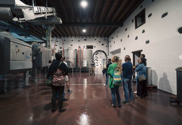 Visitors in a Winery Lanzarote