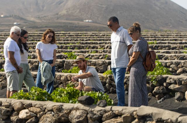 Vineyards Lanzarote 